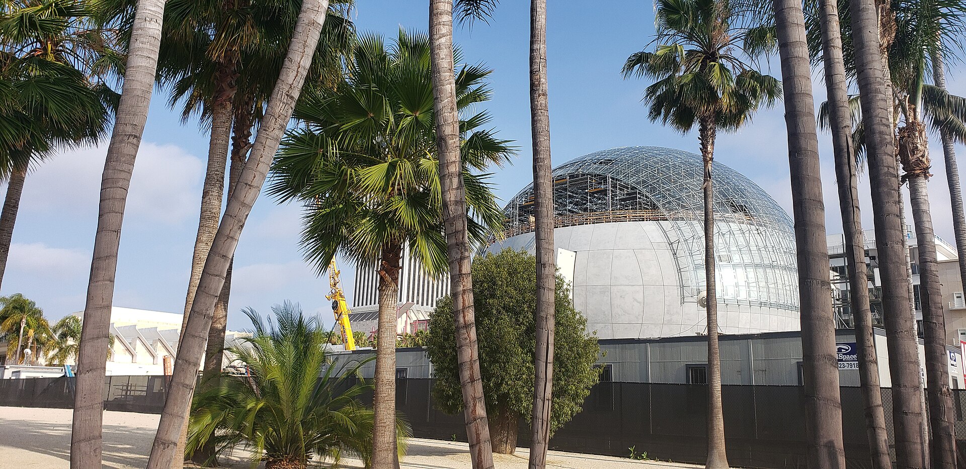 The domed glass sphere of the Academy Museum of Motion Pictures behind a row of palm trees in Los Angeles