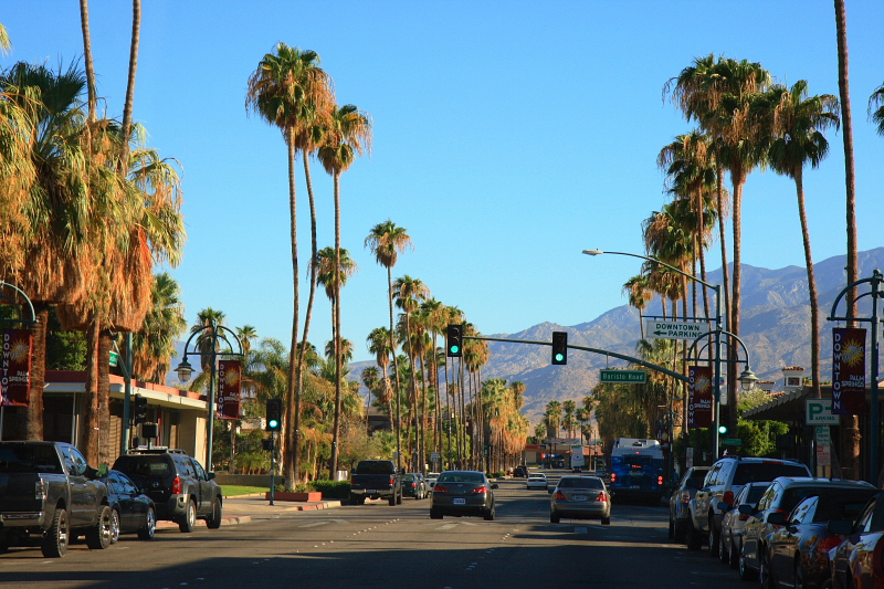 Palm trees lining Palm Canyon Drive in downtown Palm Springs with the San Jacinto Mountains behind