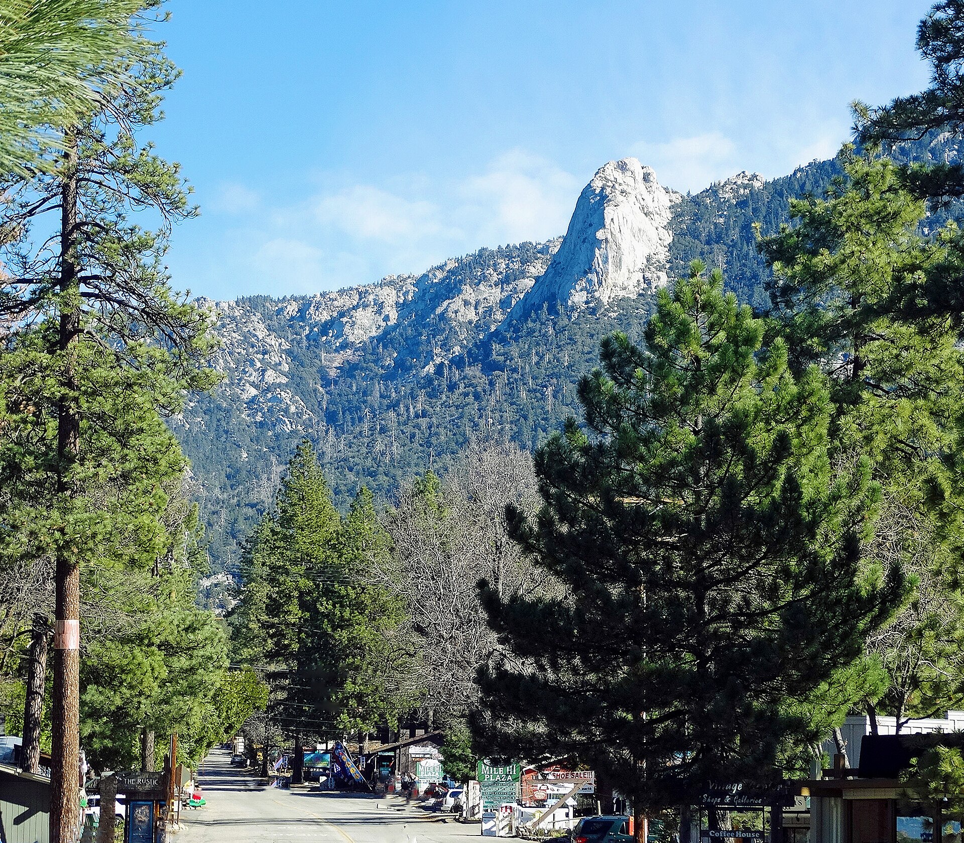 Tall pine trees in Idyllwild with the granite spire of Tahquitz Rock rising behind under a blue sky