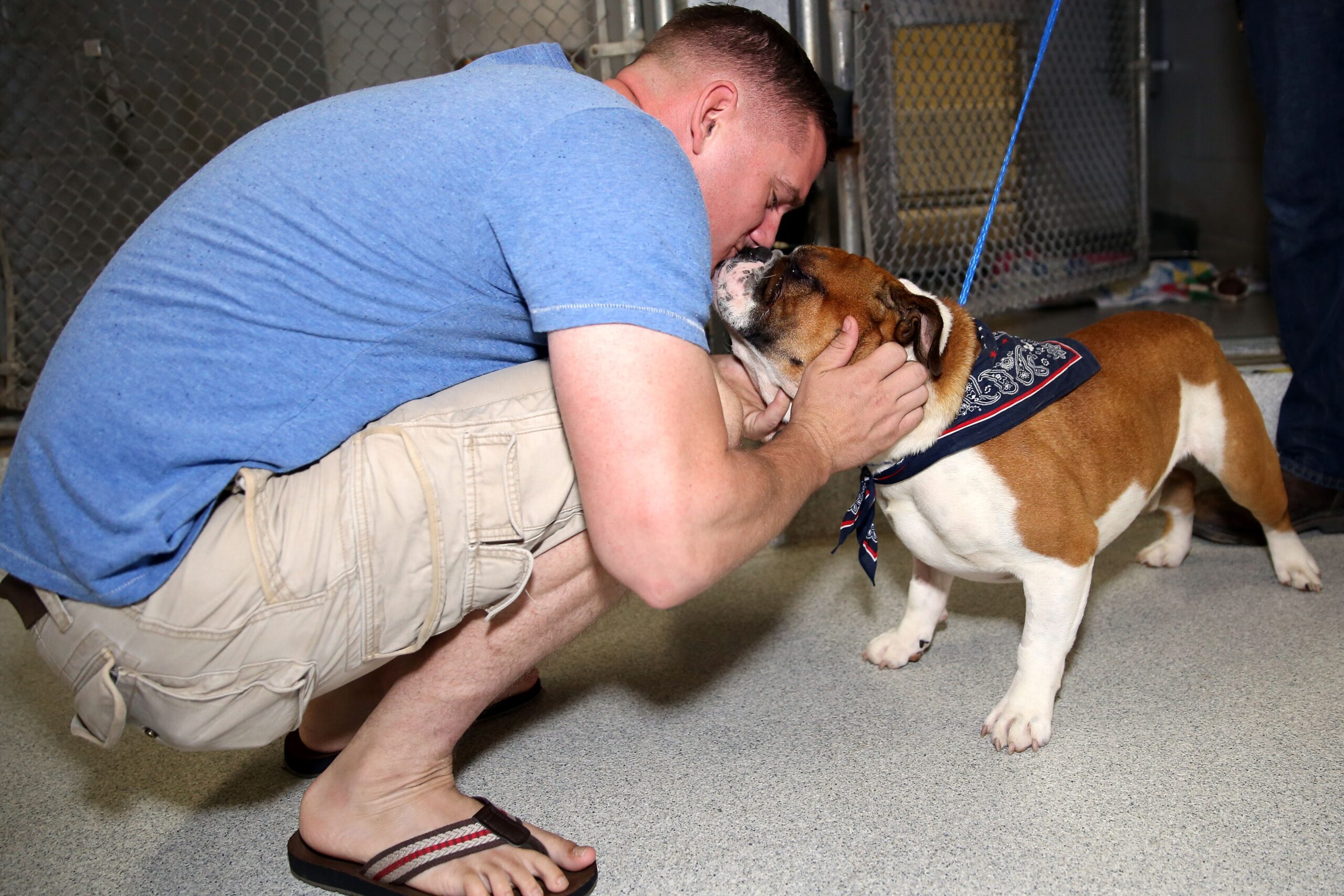 A family meets an adoptable dog at a pet adoption event