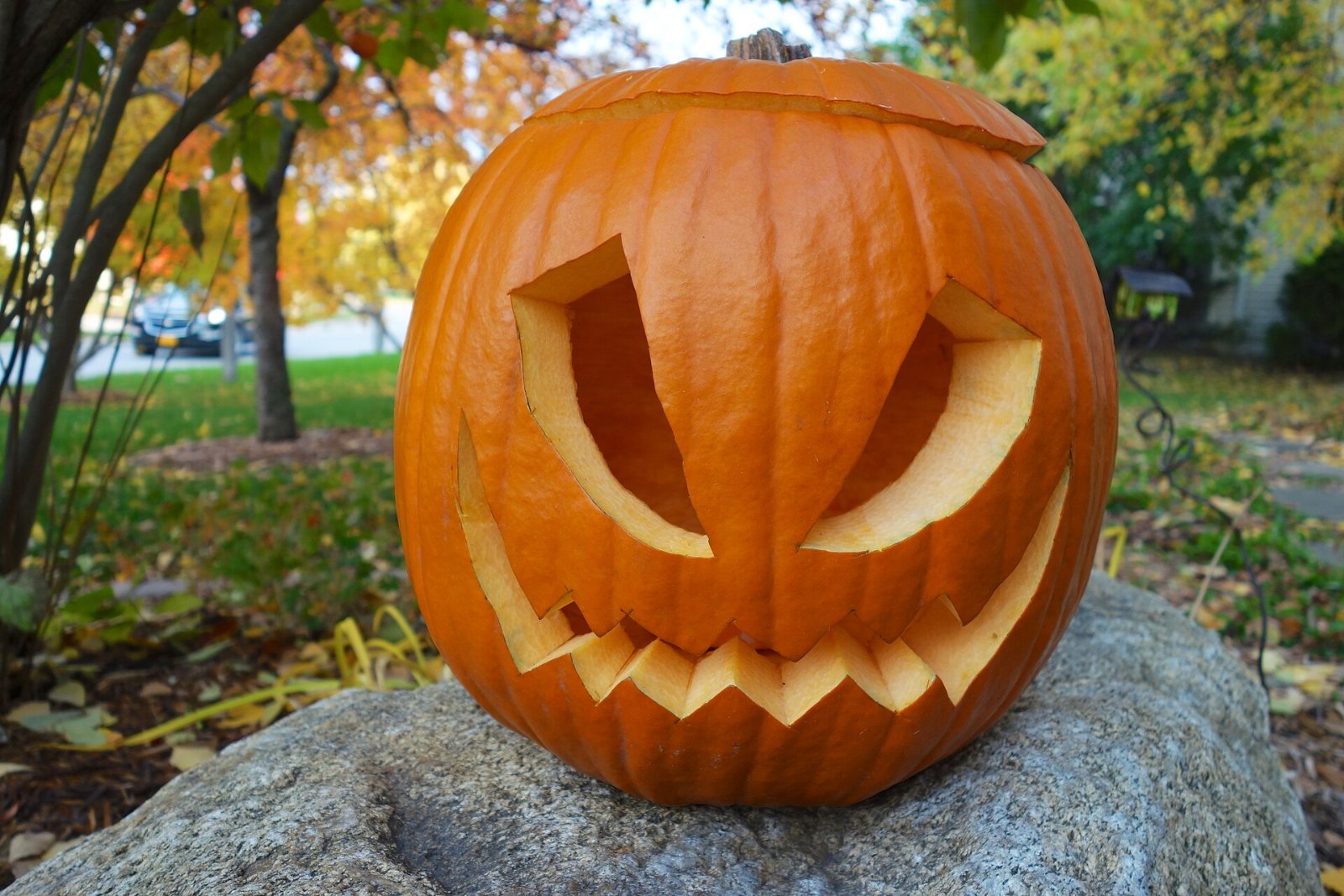A carved jack-o'-lantern sitting on a rock with trees behind it