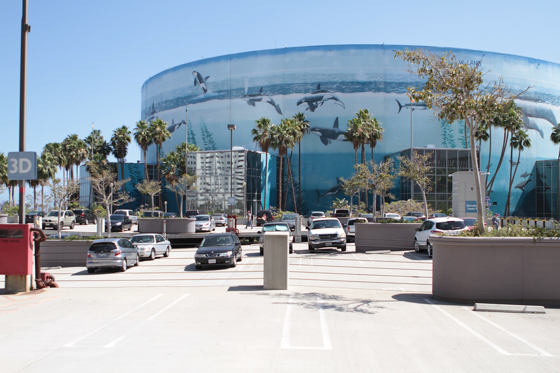 The round Long Beach Arena at the Long Beach Convention Center, painted with a large ocean mural, seen across a parking lot lined with palm trees