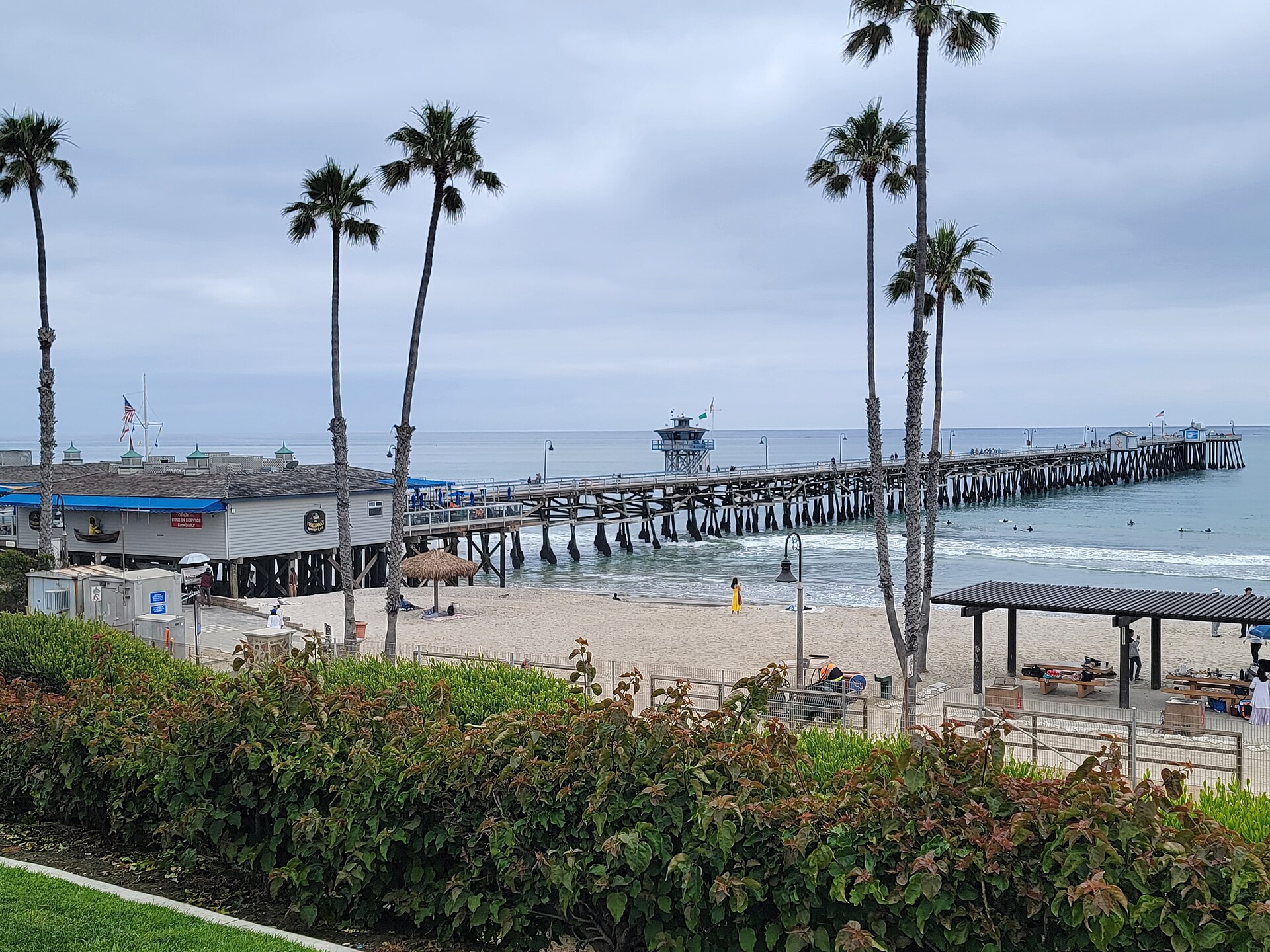 San Clemente Pier stretching into the ocean past a sandy beach, framed by tall palm trees and a flowering hedge