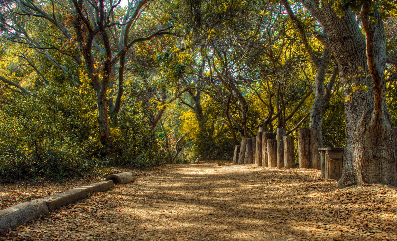 A tree-lined dirt trail at the El Dorado Nature Center in Long Beach