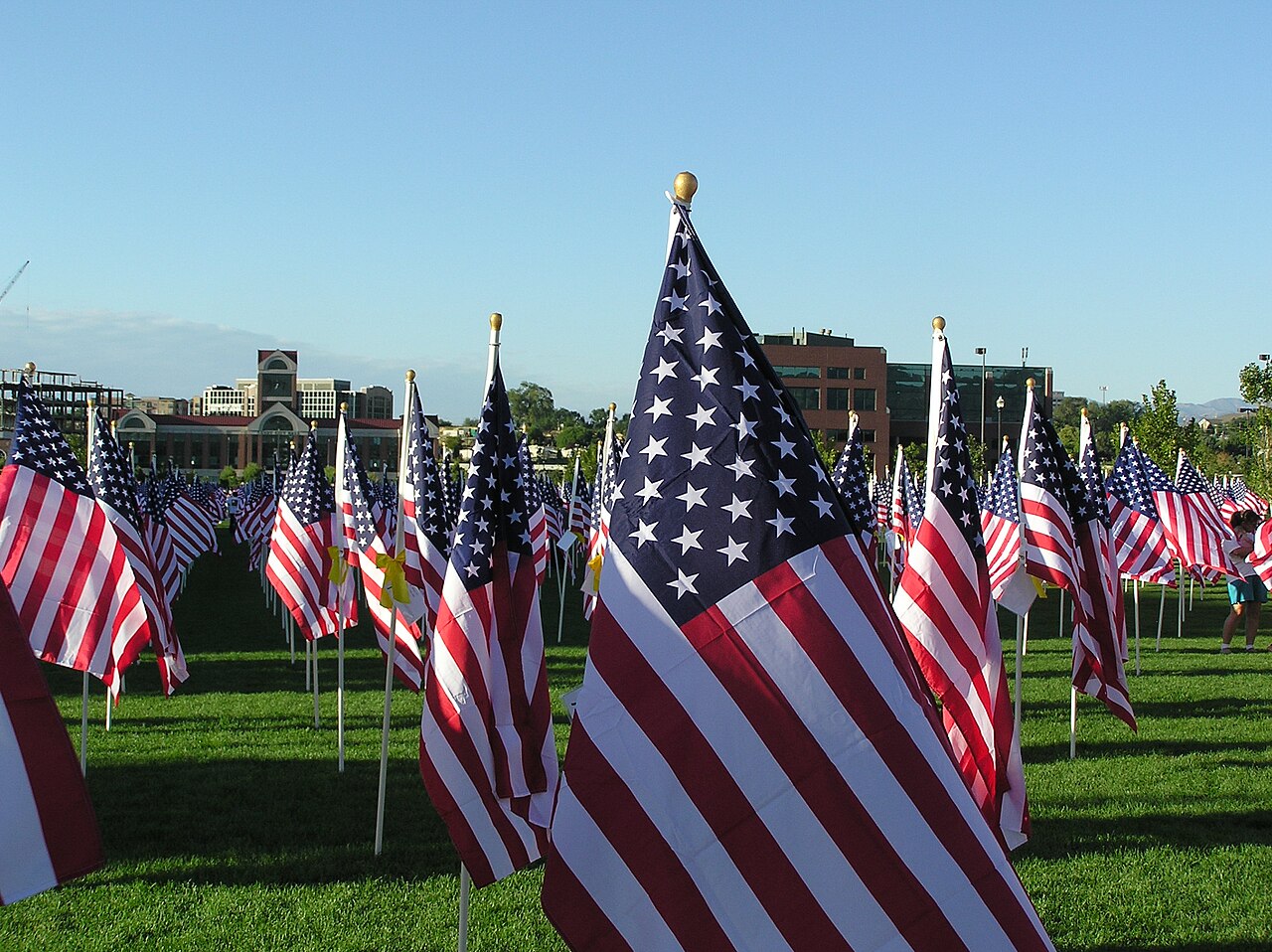 Rows of full-size American flags on poles planted across a grassy park under a clear sky