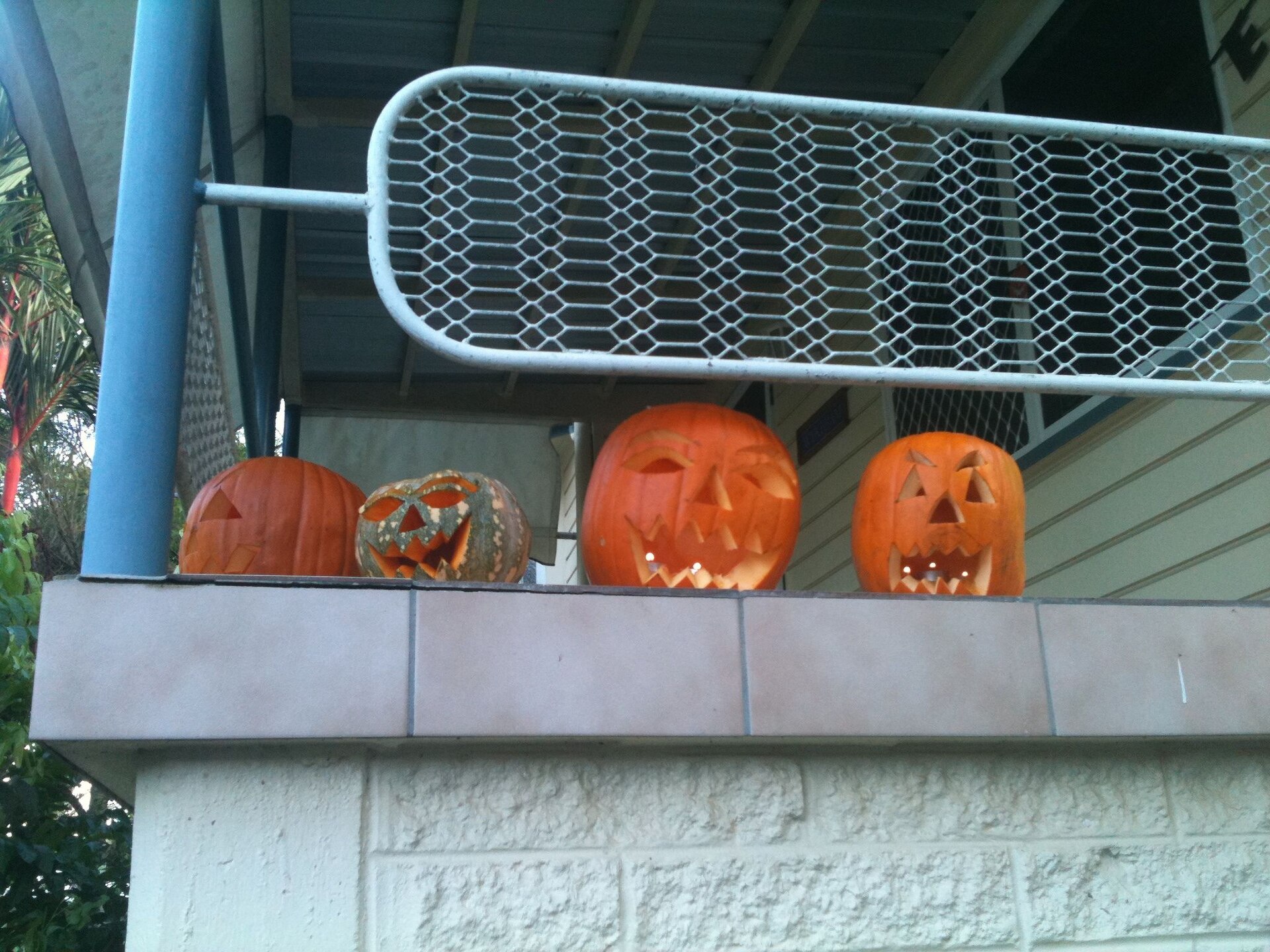 Carved Halloween jack-o-lanterns lined up on a ledge
