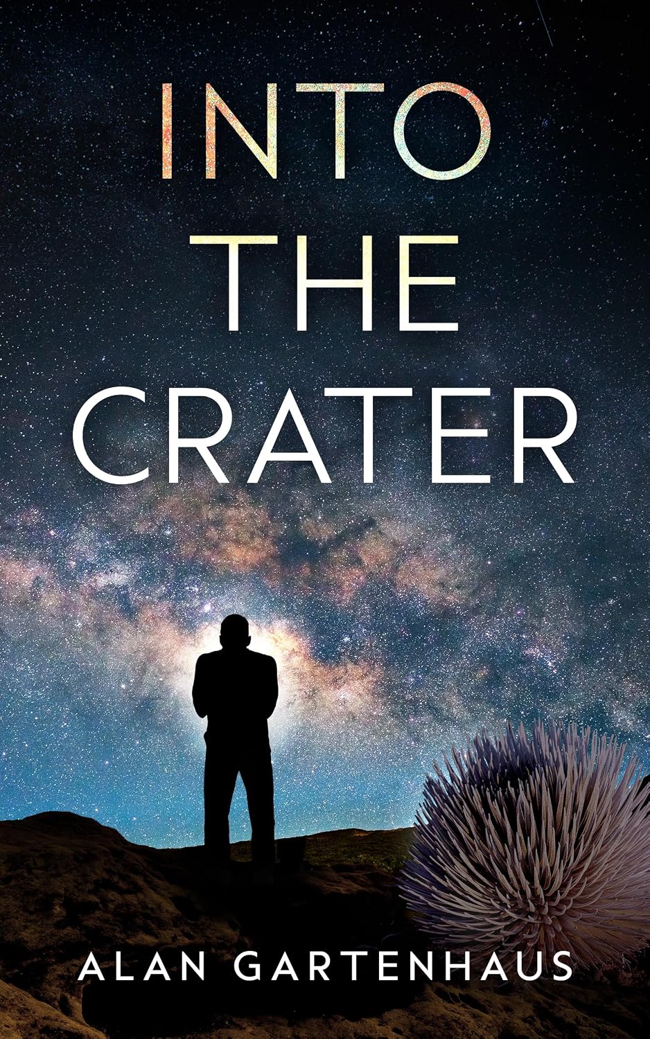 Book cover of Into the Crater by Alan Gartenhaus