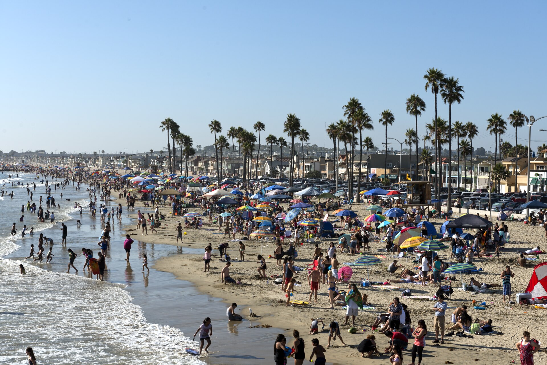 Beachgoers and umbrellas along the sand and palm trees in Newport Beach, California
