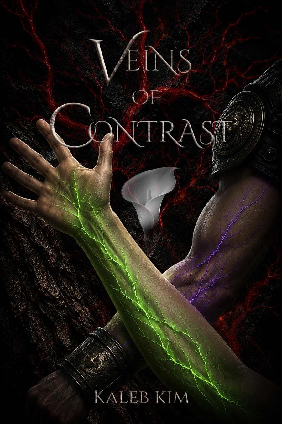 Book cover of Veins of Contrast by Kaleb Kim